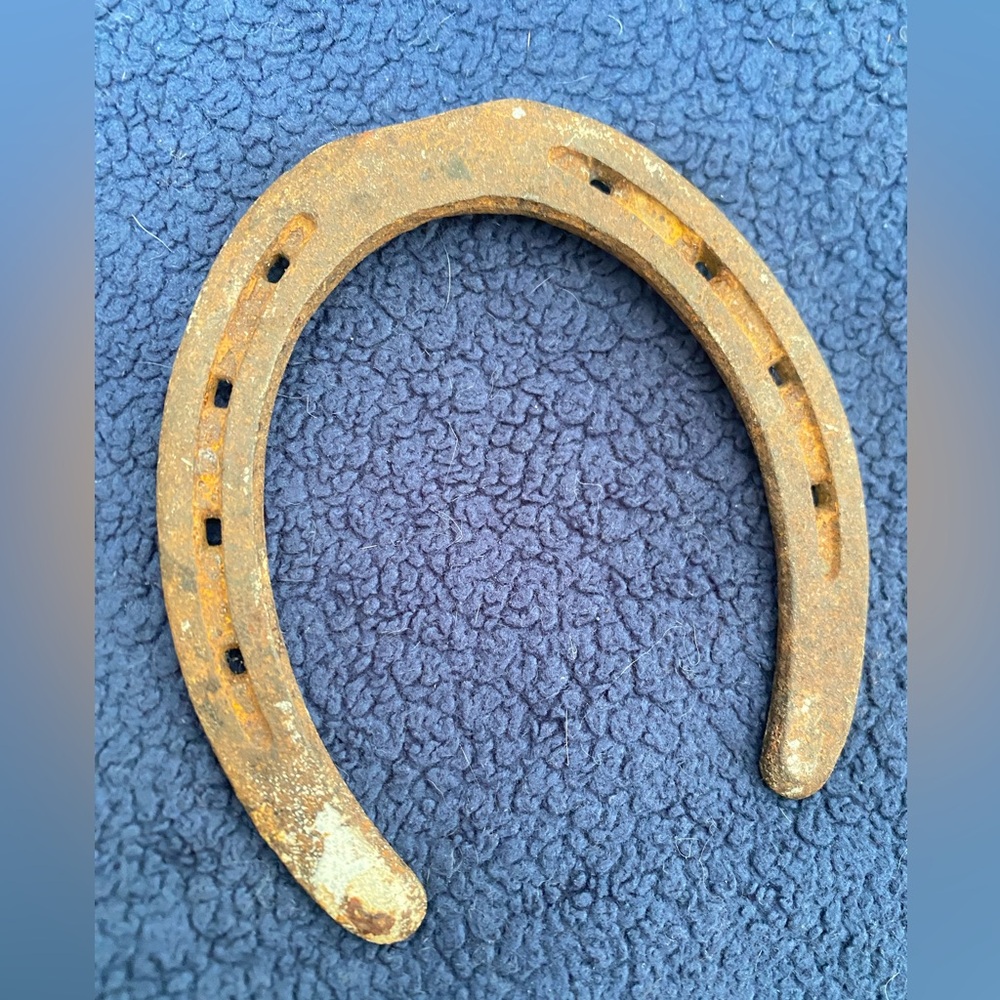 Vintage 8 Hole Steel Horse shoe